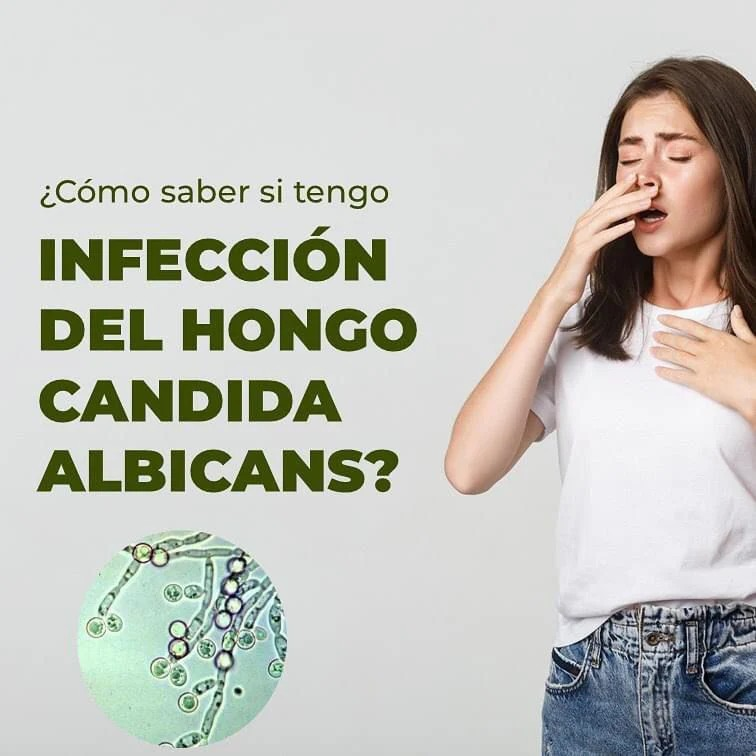 ORE ™ Orégano Orgánico ⭐⭐⭐⭐⭐